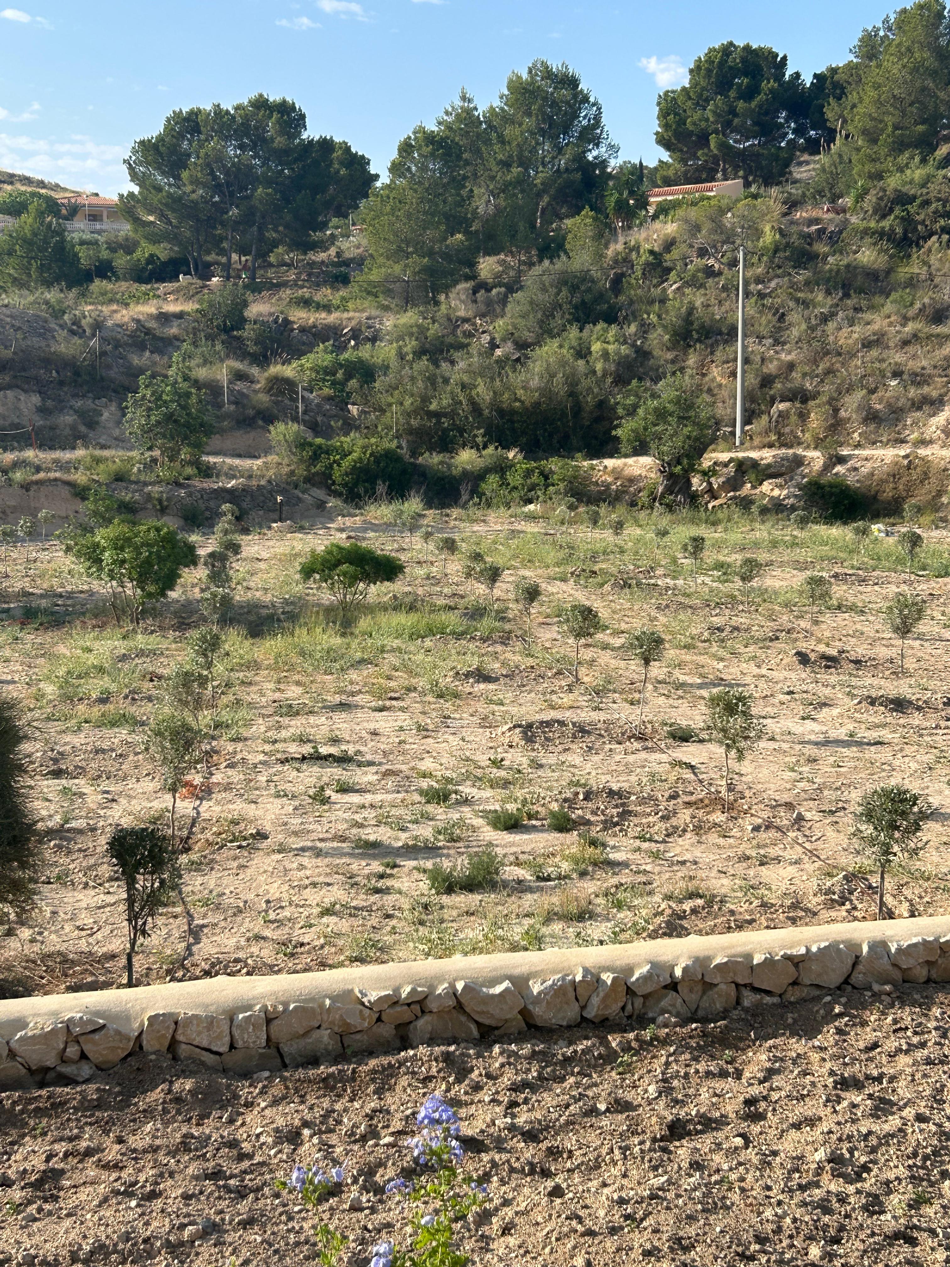 Cobertura de servicios AF34 Excavaciones en toda la provincia de Alicante